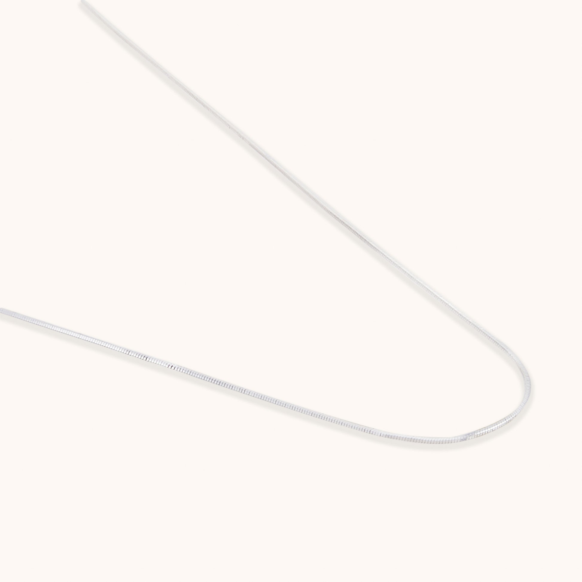 Close-up studio shot of a delicate, polished silver chain, highlighting its seamless, flexible construction and reflective luster.