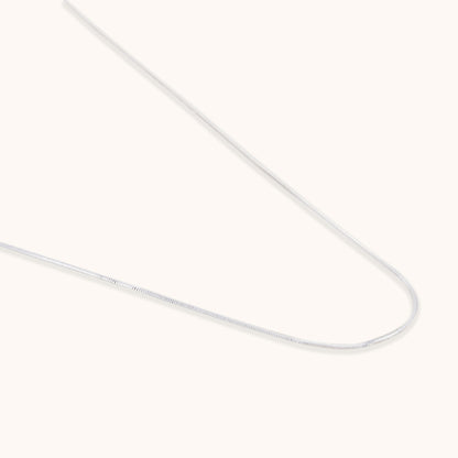 Close-up studio shot of a delicate, polished silver chain, highlighting its seamless, flexible construction and reflective luster.