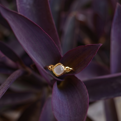 A handcrafted 18kt gold plated Blush Glow Ring featuring a square rose quartz stone, nestled within vibrant purple leaves for a nature-inspired lifestyle shot.