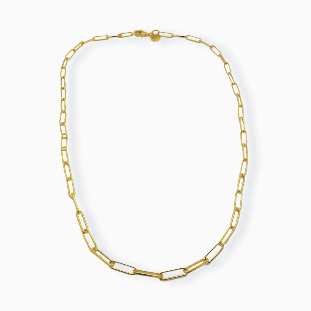 A refined and minimalist silver necklace featuring a polished circular link chain isolated on a white background.
